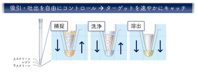 PhyTip カラム