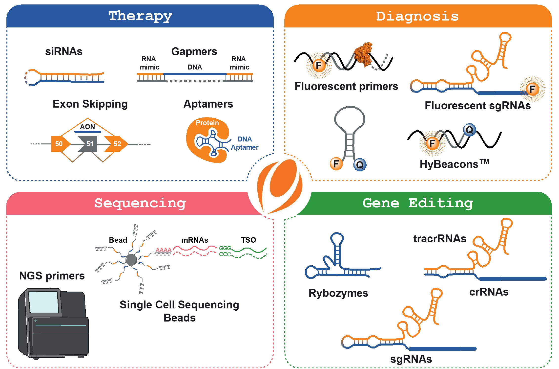 オリゴ合成のアプリケーション例＝Therapy; siRNAs, Gapmers, Exon Skipping, Aptamers/Diagnosis; Fluorescent primers, Fluorescent sgRNAs, HyBeacons/Sequencing; NGS primers, Single Cell Sequencing Beads/Gene Editing; Rybozymes, tracrRNAs, crRNAs, sgRNAs