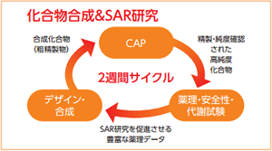 ラクオリア創薬株式会社