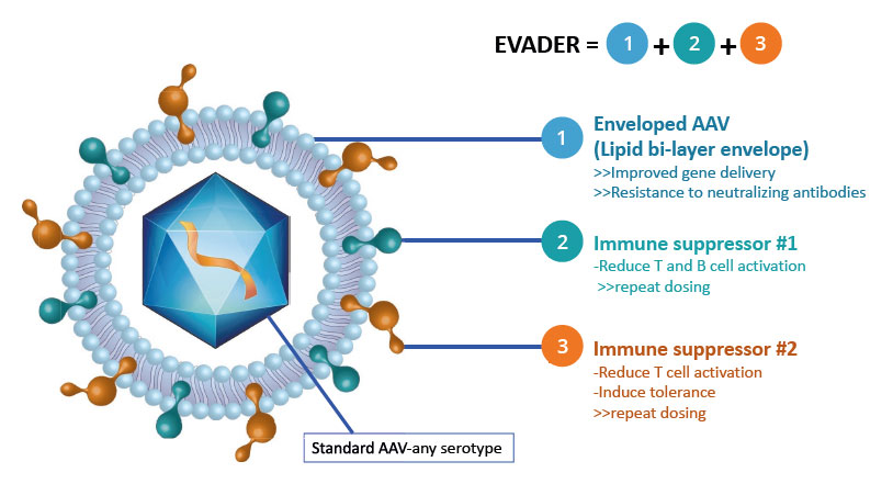 EVADER-stealth mode