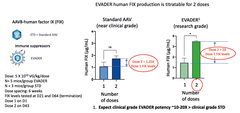 EVADER human FIX production