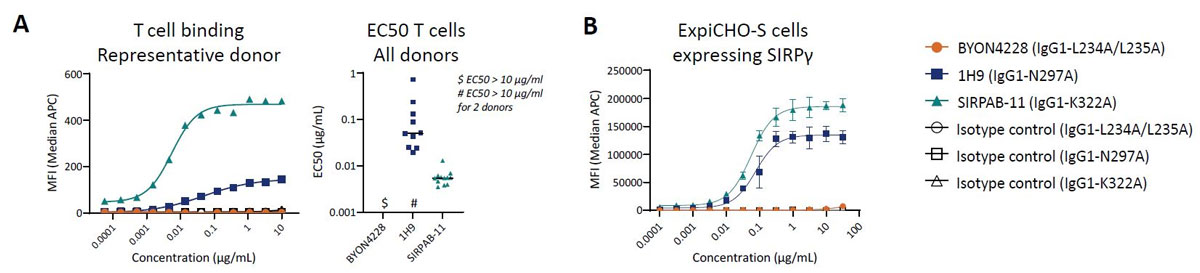 BYON4228 lacks binding to T cell-expressed SIRPγ