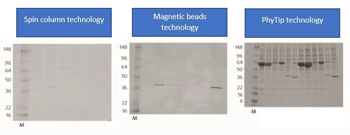 Comparison of concentration effect of spin-column technology, magnetic bead technology, and PhyTip column technology.