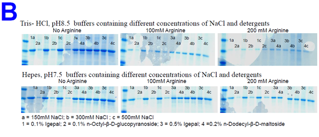 A few buffer conditions were selected for screening binding affinity of a His-tagged protein on IMAC PhyTips at different pHs, NaCl concentrations and in the presence of different detergents which were added manually.