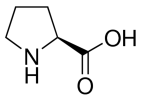 01_proline