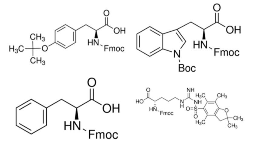 02_bulky-amino-acids