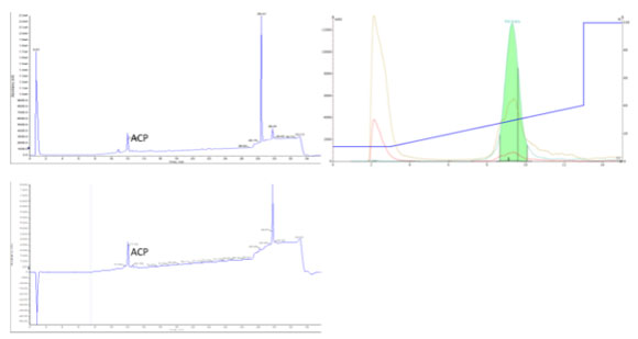 vol11_01_purify_synthetic_peptides