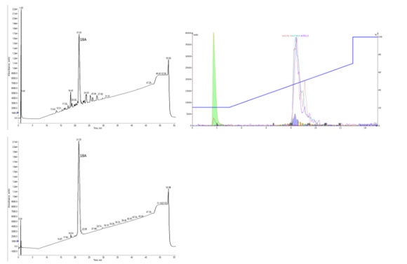 11_03_purify_synthetic_peptides