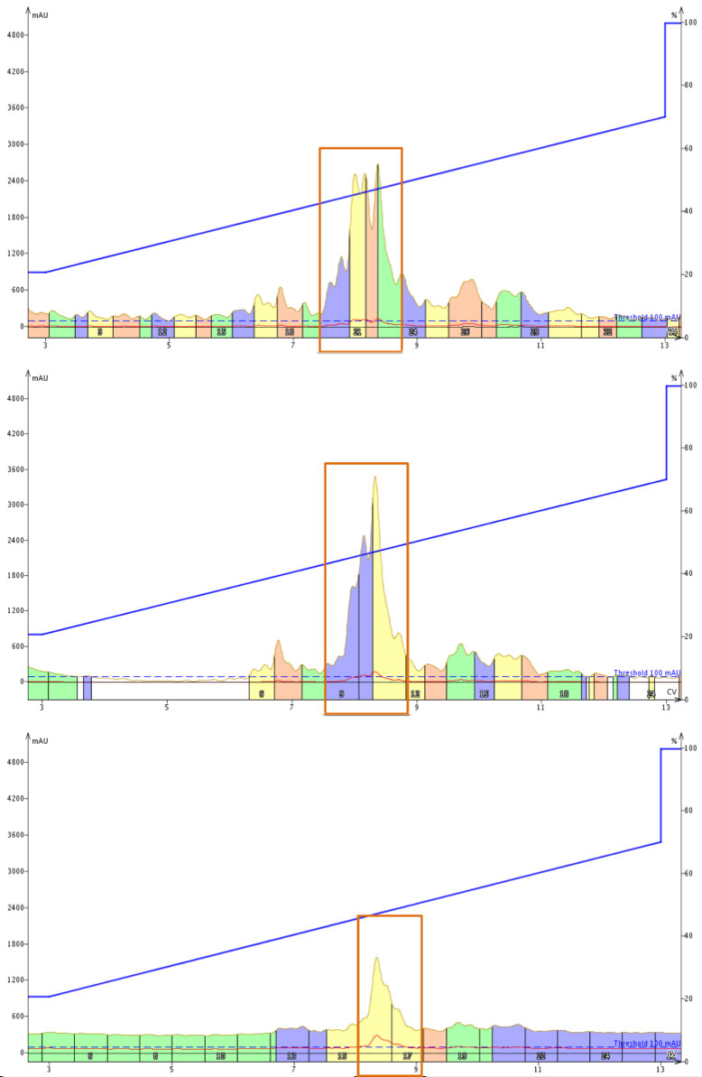 bid_chromatograms