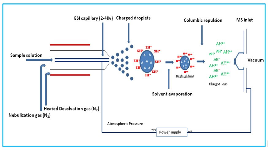 エレクトロスプレーイオン源（ESI）によるイオン生成の原理