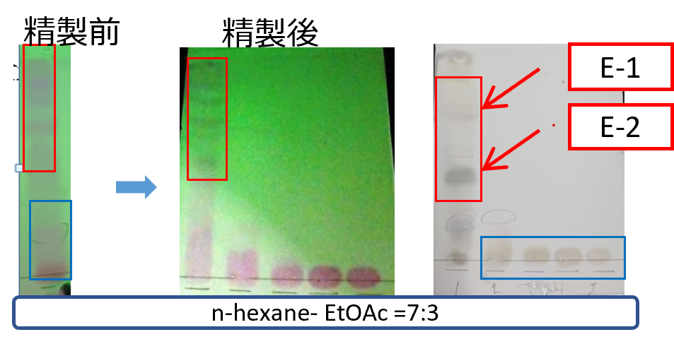 事例13 精製前後のTLC写真